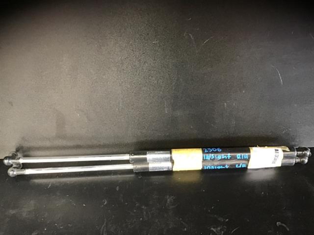 Tailgate Struts (set)