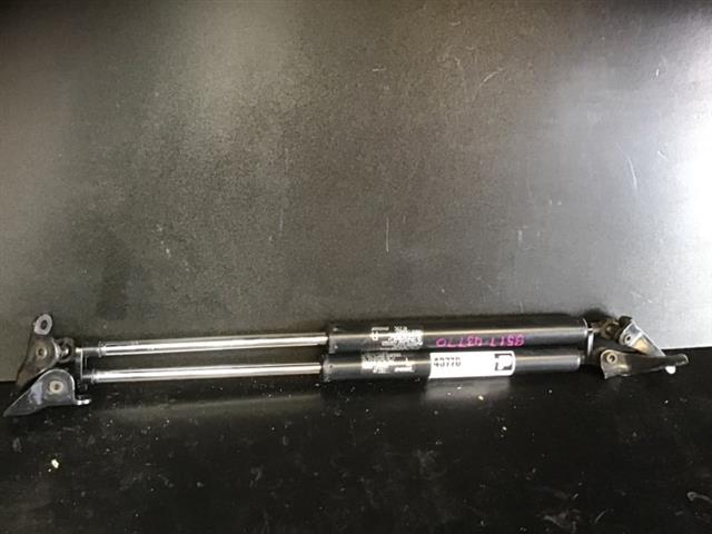 Tailgate Struts (set)