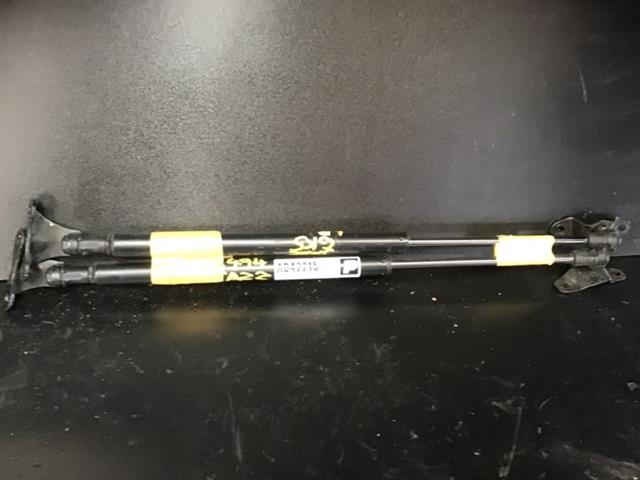 Tailgate Struts (set)
