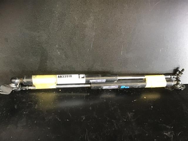 Tailgate Struts (set)