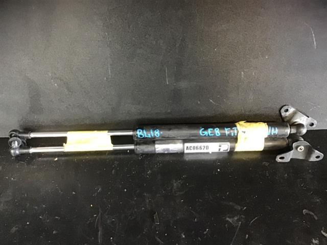 Tailgate Struts (set)