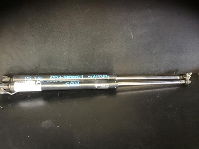 Tailgate Struts (set)