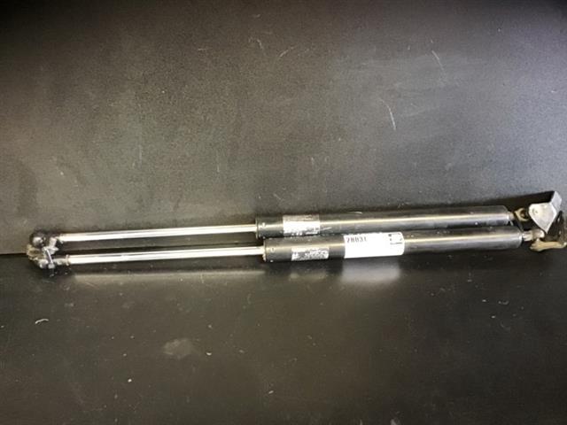Tailgate Struts (set)