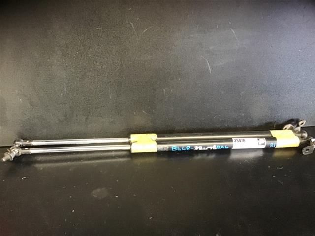Tailgate Struts (set)