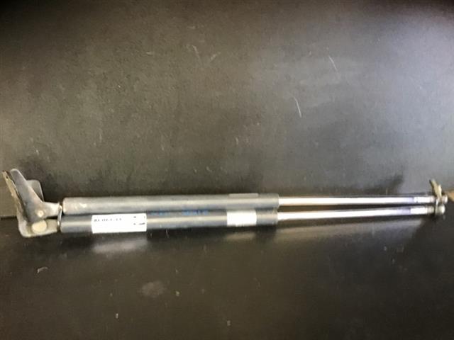 Tailgate Struts (set)