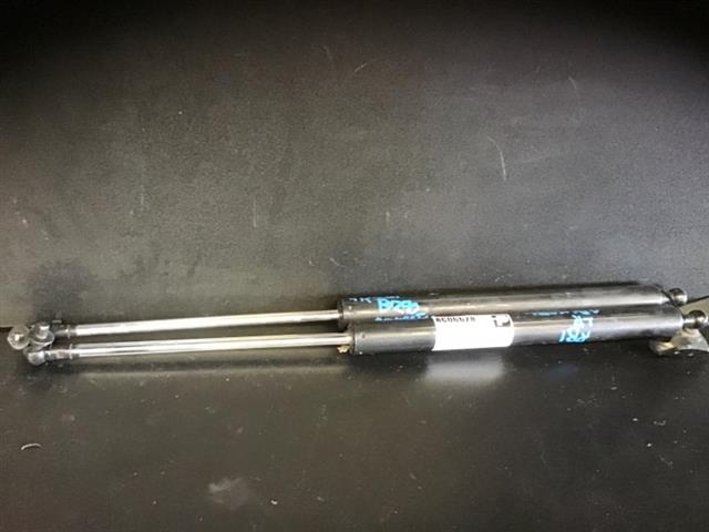 Tailgate Struts (set)