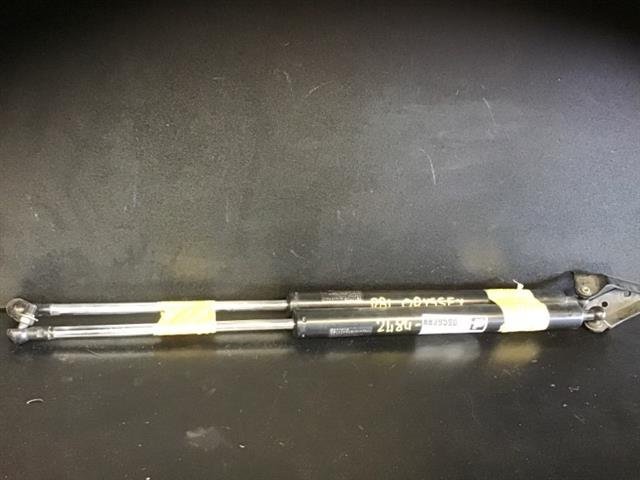 Tailgate Struts (set)