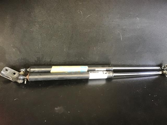 Tailgate Struts (set)
