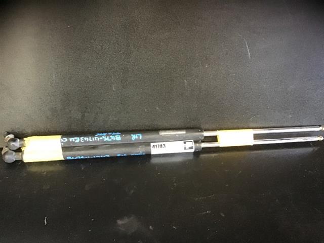 Tailgate Struts (set)