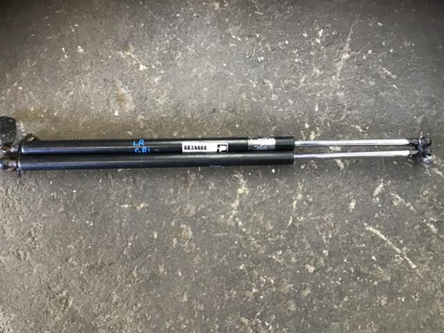 Tailgate Struts (set)