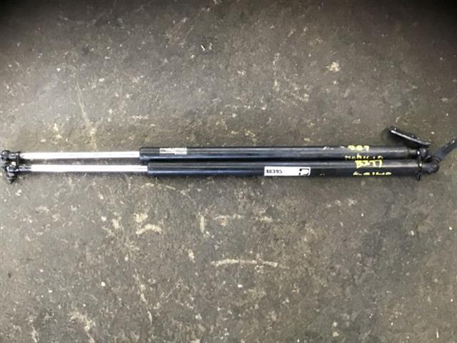 Tailgate Struts (set)