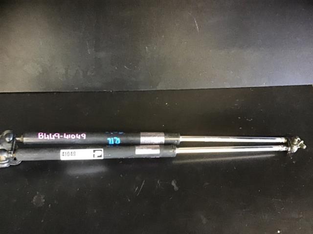 Tailgate Struts (set)