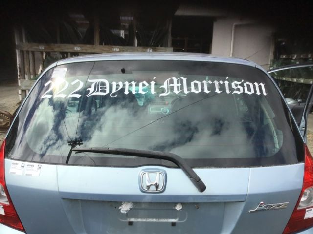 Tailgate Glass