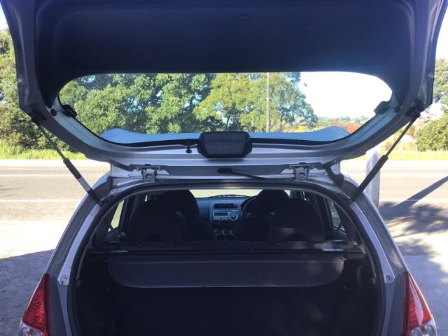 Tailgate Struts (set)