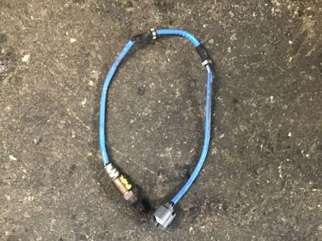 Exhaust Oxy Sensor