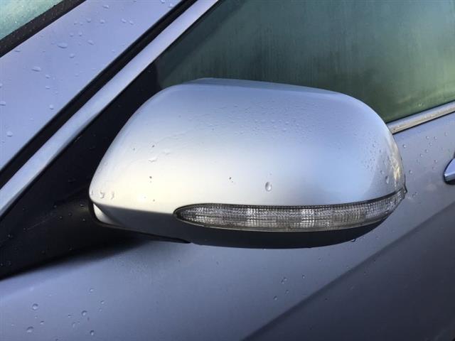 Lf Door Elec Mirror