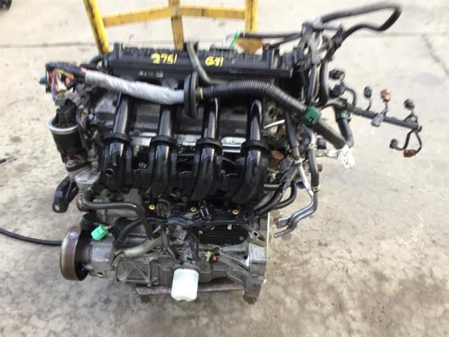 Engine Assembly