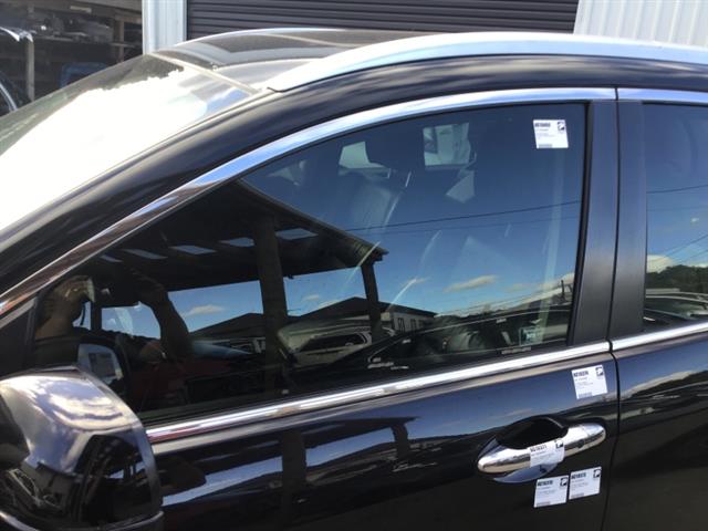 Lf Door Glass