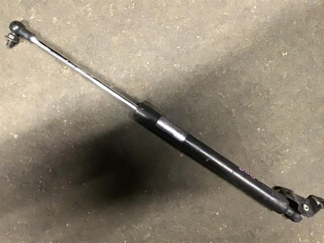 R Tailgate Strut