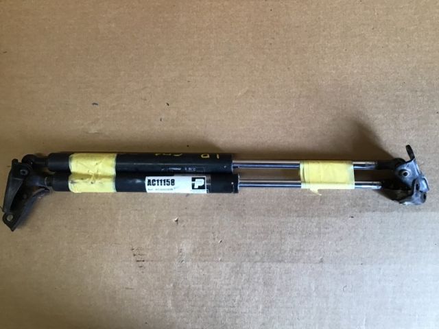 Tailgate Struts (set)