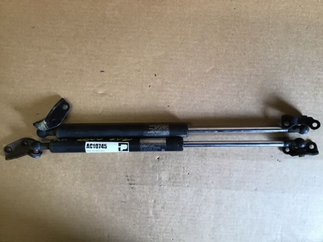 Tailgate Struts (set)