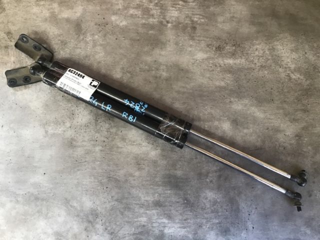 Tailgate Struts (set)