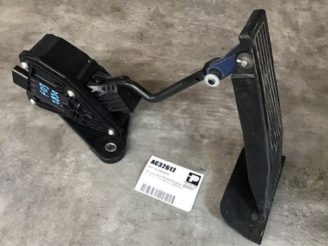 Accelerator Pedal Postion Sensor