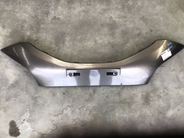 Front Bumper Moulding