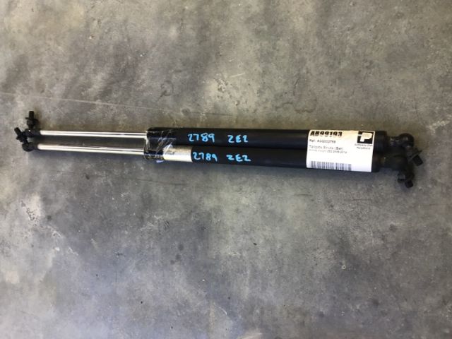 Tailgate Struts (set)