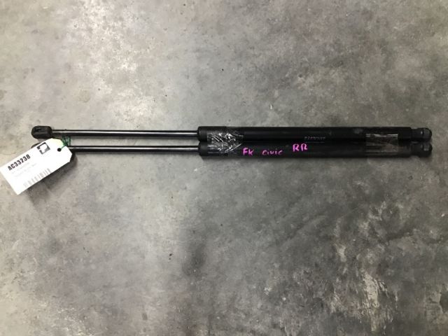 Tailgate Struts (set)