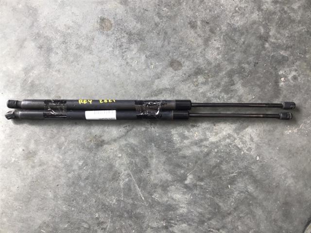 Tailgate Struts (set)
