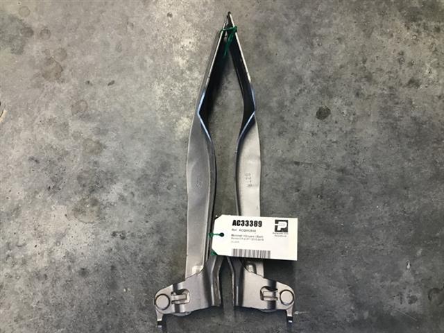 Bonnet Hinges (set)