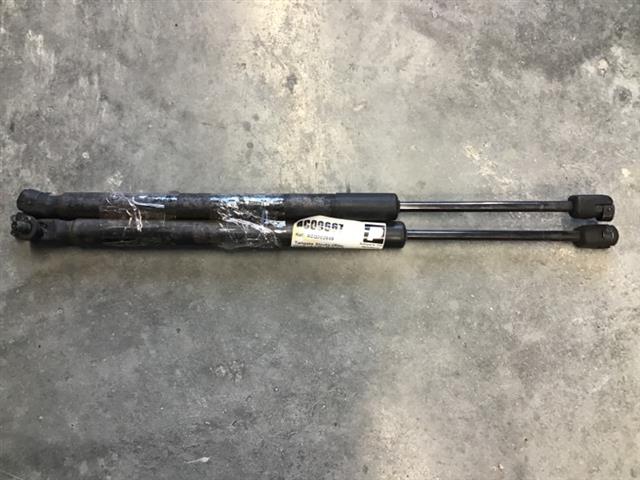 Tailgate Struts (set)
