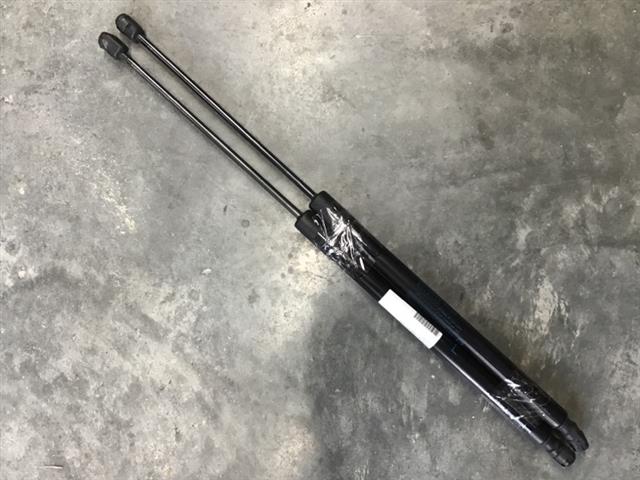 Tailgate Struts (set)