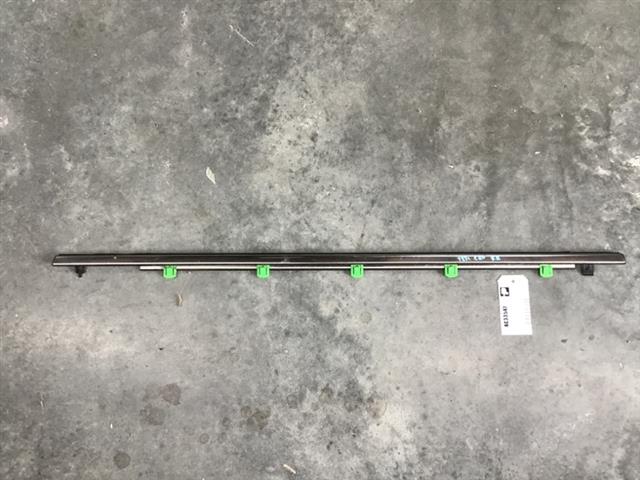 Rr Door Weather Strip Mould