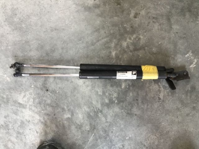 Tailgate Struts (set)