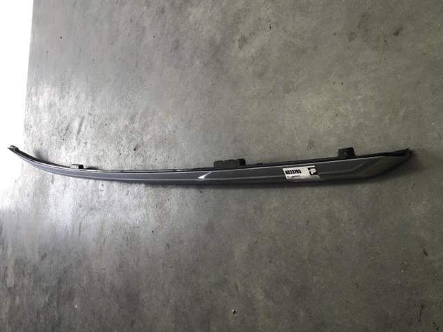 Rh Roof Mould