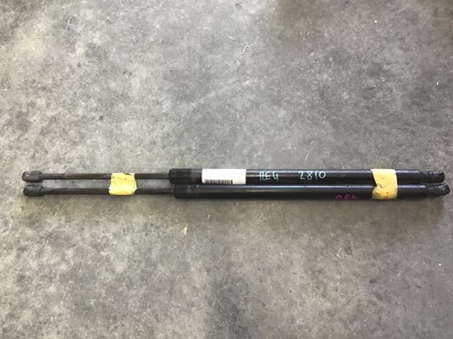 Tailgate Struts (set)
