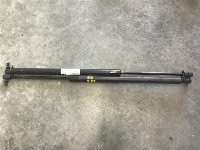 Tailgate Struts (set)