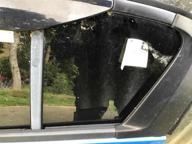 Lr Door Quarter Glass