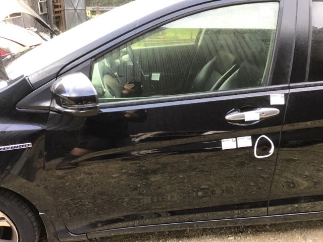 Lf Door Shell