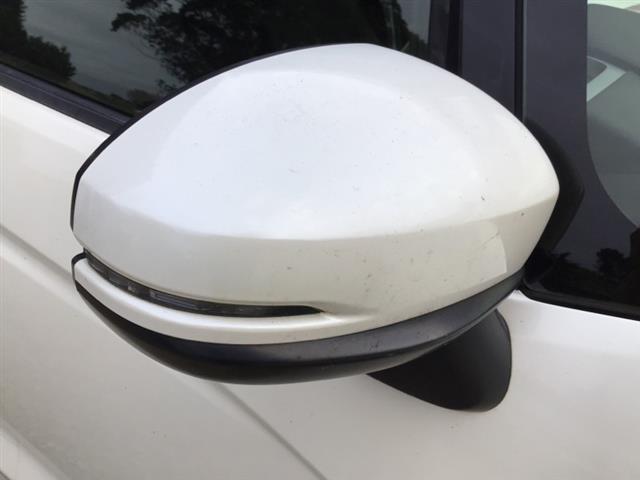 Rf Door Elec Mirror