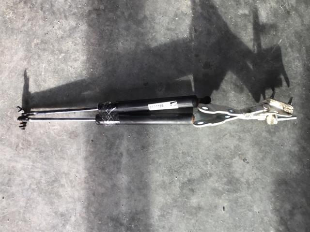 Tailgate Struts (set)