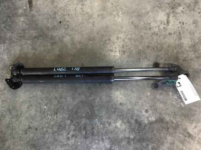 Tailgate Struts (set)