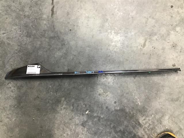 Rr Guard Moulding