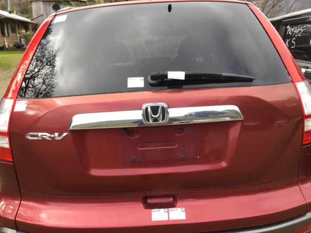 Tailgate Shell