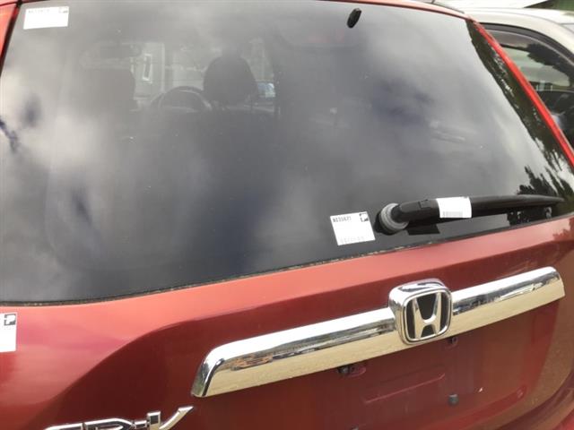 Tailgate Glass