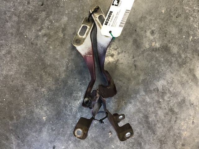 Bonnet Hinges (set)
