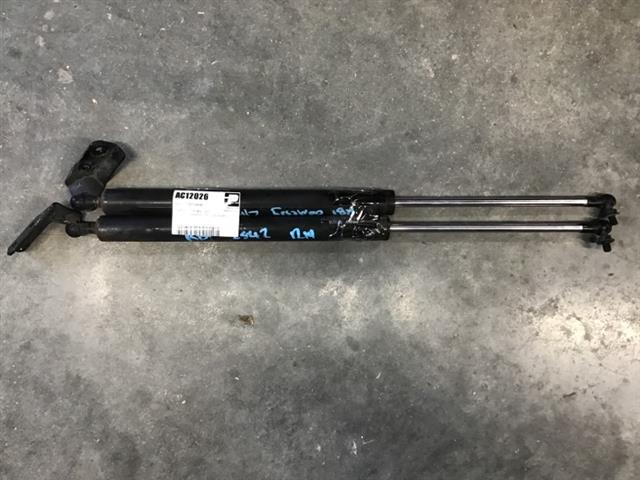 Tailgate Struts (set)