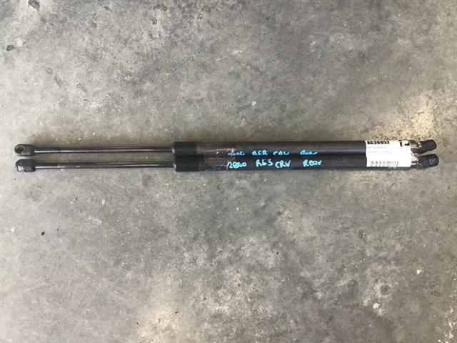 Tailgate Struts (set)
